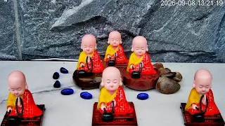 🔴Little Monk Wooden Fish 🪷 | Zen Meditation | Peaceful Real-Life Scenery - LIVE  Webcam