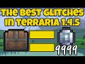 The 5 BEST Glitches in Terraria 1 4 5 Terraria WORKING Duplication Glitch 1 4 5 5