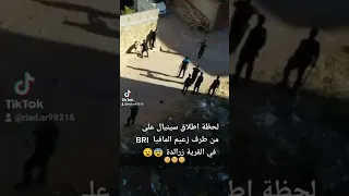لحظة إطلاق سينيال من طرف زعيم مافيا في القرية زرالدة  لحظة إطلاق سينيال من طرف زعيم مافيا في القرية زرالدة