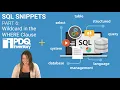 SQL Snippets 06 Wildcard in the WHERE Clause