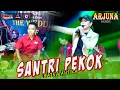 Download Lagu RATNA ANTIKA FT FARIS MAHESA - SANTRI PEKOK- OM ARJUNA MUSIC | DHEHAN AUDIO