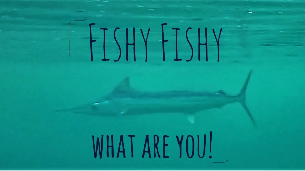Fishy Fishy what are you? [Bonus Ep1] Sailing Salacia Star