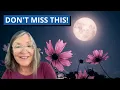 5 Must-See Sky Sights For May 2026