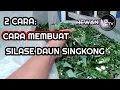 Download Lagu TUTORIAL: 2 CARA MEMBUAT SILASE / FERMENTASI DAUN SINGKONG