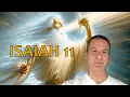 Isaiah Chapter 11 Summary And What God Wants From Us