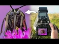 Download Lagu POV-macrofotografie in kustzandduinen