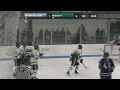 Men s ice hockey highlights vs Roger Williams 26