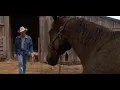 Download Lagu The Horse Whisperer - first look at Pilgrim