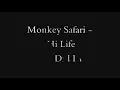 Monkey Safari - Hi Life