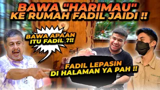 Download ALSHAD BAWA HARIMAU KE RUMAH FADIL JAIDI ! PAK MUH KETAKUTAN !! MP3