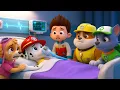 Oh Não! Será Que o MARSHALL Está Doente?! Mas a SKYE não Pode Fazer Nada - PAw PaTrol en Português
