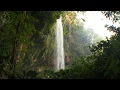 Download Lagu 🐦 Waterfall Scenery in Tropical Rainforest with the Sound of Falling Water and Singing Jungle Birds