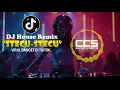Download Lagu DJ STECU STECU [HOUSE MUSIC REMIX] - VIRAL BANGET DI TIKTOK 2025