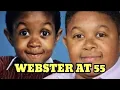 What Happened to Webster The Quiet Life of Emmanuel Lewis Today