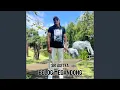 Download Lagu BELOG MEGANDONG