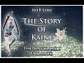 The Story of Kaine and The Singularity Explained NieR Lore Summary