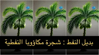 هل شجرة المكاؤوبا النفطية البرازيلية بديل النفط الأحفوري مكاؤوبا Macauba 