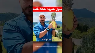 ندمت لاني لم اعلم تلك المعلومة دكريم على فكر تانى الاناناس 