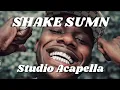 Da Baby - Shake Sumn (Studio Acapella)