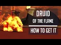 DRUID OF THE FLAME - how to get fire cat form for your druid
