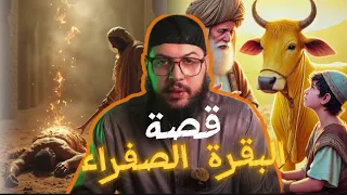 قصة البقرة الصفراء كاملة 