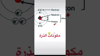 مكونات الذرة 