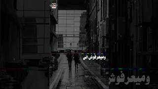 لينا راجعة لينا راجعة 