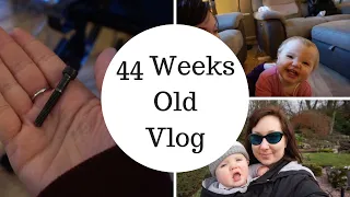 Botox, PTSD and A Broken Wheelchair | 44 Weeks Old