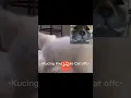 Lagu Kucing Lucu Video Call-an 😂 || Funny Cat Video Call 😂 #kucing #cat #shorts #kucingcat