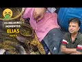 Download Lagu Comida de rua indiana, Melhores momentos do Elias  parte 8