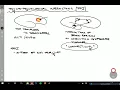 Psychophysiological interactions I