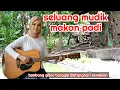 Download Lagu Gitar tunggal Batanghari sembilan SELUANG MUDIK MAKAN PADI Lagu daerah Sumsel