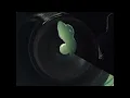DPR CREAM - 후(puff) (Official Visualizer) ㅣ shaking