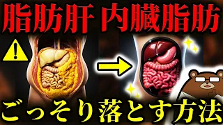 知らないと必ず損する！最も効果的に内臓脂肪を減らし、肝臓の脂肪を落とすのは「コレ」。「最も減らしやすい脂肪」が内臓脂肪だった？放置すると「肝臓」「すい臓」がんリスク上昇。正しい改善法は？医師が徹底解説