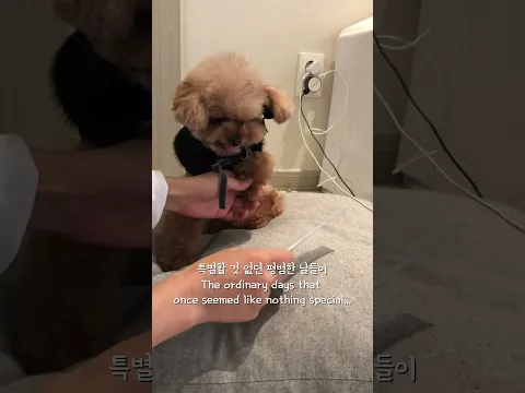 미소아라 8년전, 그리고 지금 and counting.