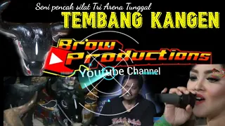 Download TEMBANG KANGEN || MUSIK PENCAK SILAT || TRI ARENA TUNGGAL MP3