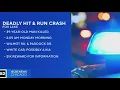 McHenry Co Sheriff investigates deadly Fox Lake hit-and-run