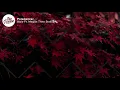 Wale - Pole Dancer (Lyrics) Feat. Megan Thee Stallion