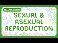 GCSE Biology - Sexual Asexual Reproduction Gametes exams