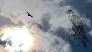 ☀️Танец коршунов.🌳У каждого двора своя душа.