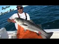 Striped Bass fishing off Rhode Island with live eels Daytime striped bass