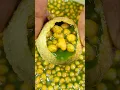 Lagu Homemade Pani Puri #shorts #shortsfeed #food #asmr #panipuri