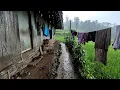 Download Lagu Hidup di desa, Hujan deras di kampung pesawahan terasa sangat sejuk
