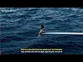 [vietsub/lyrics] Love Language - SZA
