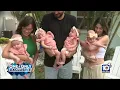 Parents of South Florida quadruplets said they have zero regrets after proceeding with high-risk
