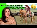 Horse Sale Ads Are Getting WORSE