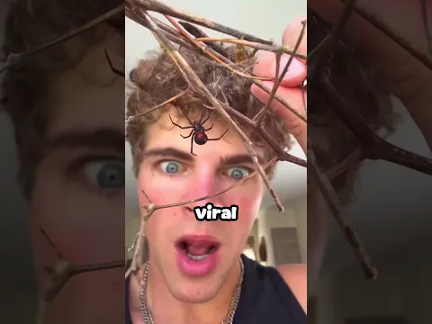 ESTE CHICO LE PONÍA ARAÑAS A SU AMIGO 🥶