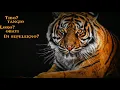Download Lagu kata kata keren bahasa jawa cocok buat story wa