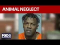 Animals seized from Milwaukee home man charged again after conviction FOX6 News Milwaukee