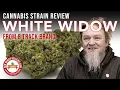 White Widow Strain Review - 8 Track Brand